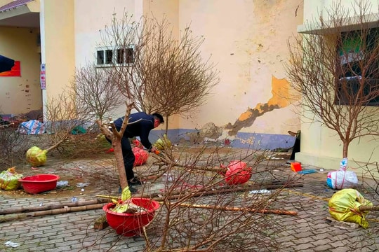 Buôn bán ế ẩm, tiểu thương chặt bỏ đào chiều 28 Tết