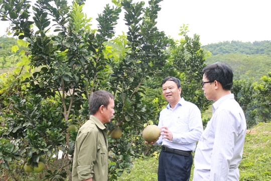 Tương Dương - Chỉ số phát triển nổi bật trong năm 2022