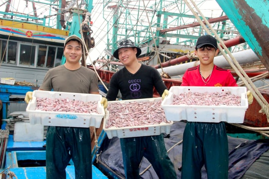 Ngư dân Nghệ An chia sẻ kinh nghiệm 'sống tốt' với nghề