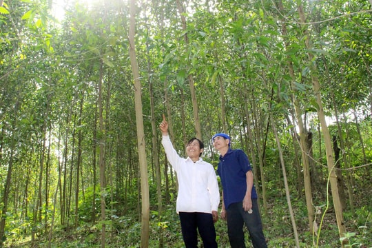 Sáng nhiệt huyết ở Thạch Ngàn 