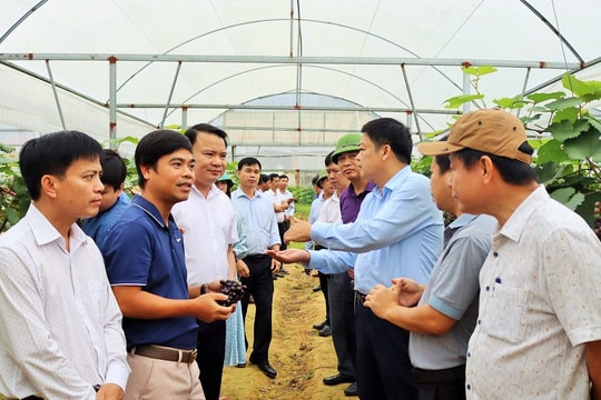 Đổi mới lãnh đạo của tổ chức Đảng trong phát triển nông nghiệp, nông thôn