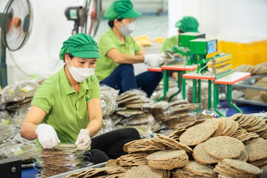 Những người trẻ khởi nghiệp từ ‘tài nguyên’ của làng