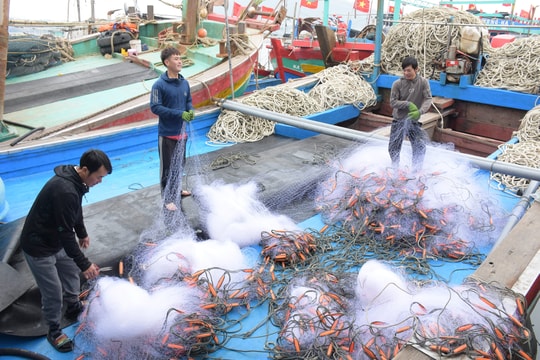Ngư dân Nghệ An tất bật chuẩn bị cho chuyến ‘mở biển’ đầu năm