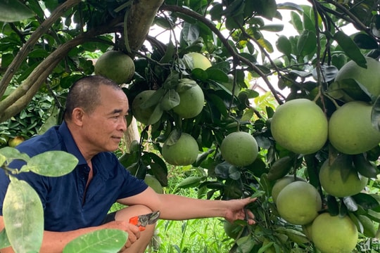 Người gieo mầm đổi thay nếp nghĩ, cách làm ở Lam Thịnh