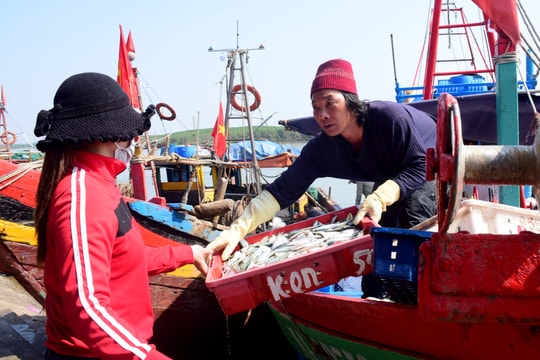 Cảng cá Lạch Vạn nhộn nhịp sau chuyến biển đầu năm 