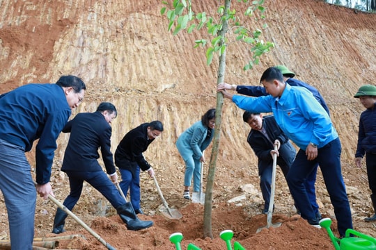 Các địa phương, đơn vị sôi nổi hưởng ứng Tết trồng cây
