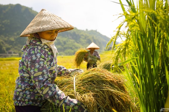 Chính sách về nhân sự, việc làm, tài chính có hiệu lực từ tháng 2/2023
