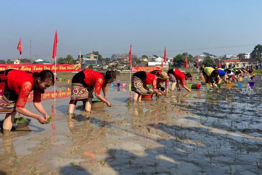 Người dân miền núi Quỳ Châu vui hội Lồng tồng đầu năm