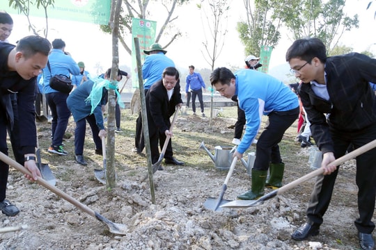 Tỉnh đoàn, hội Doanh nhân trẻ Nghệ An trồng hơn 5000 cây xanh hưởng ứng Tết trồng cây 2023