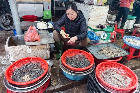 Sau Tết, nguồn cung khan hiếm, tôm ‘sốt’ giá