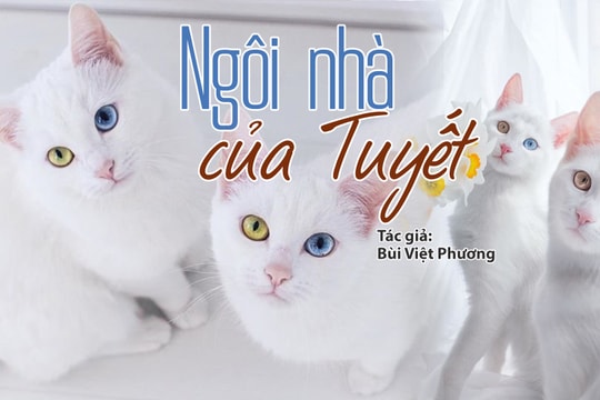 Đọc truyện đêm khuya: Ngôi nhà của Tuyết