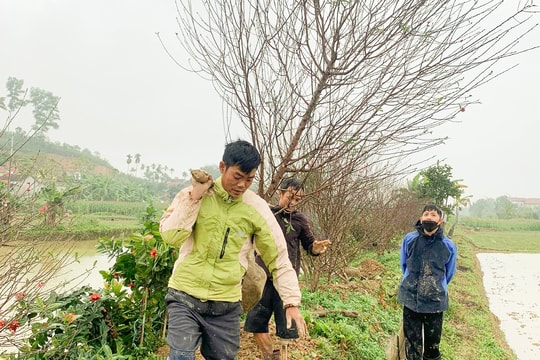 Dịch vụ chăm sóc đào sau Tết quá tải, nhiều nhà vườn phải từ chối khách