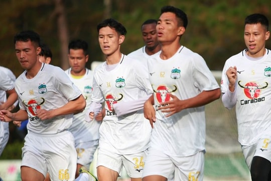 Xung đột Hoàng Anh Gia Lai - VPF: Vì đâu nên nỗi?