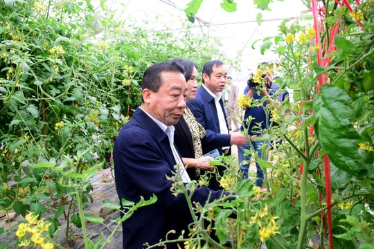 Đô Lương tập trung hoàn thiện hồ sơ để trình Trung ương công nhận huyện nông thôn mới