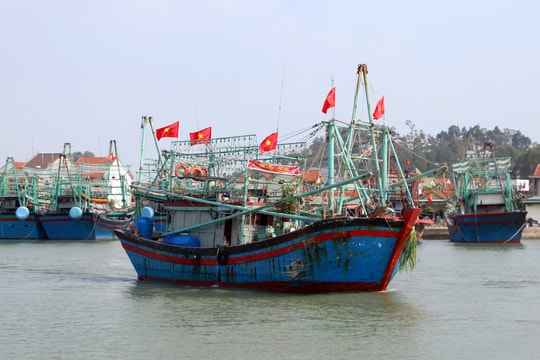 Chuyến biển khai Xuân, 1 tàu cá của ngư dân Quỳnh Lưu đạt 3 tỷ đồng