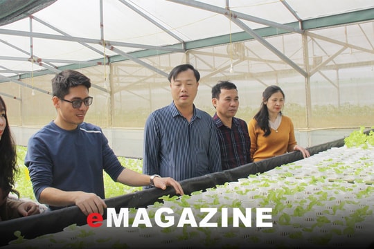 Hướng phát triển nông nghiệp công nghệ cao ở huyện Hưng Nguyên