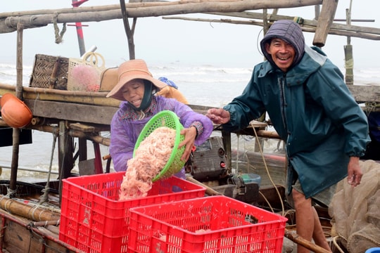 Ngư dân Diễn Châu vào mùa đánh bắt ruốc biển