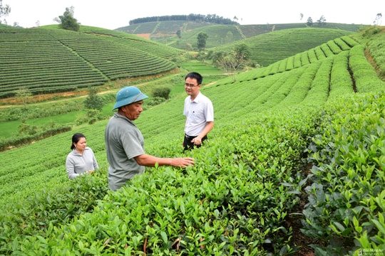 Nghệ An: Phấn đấu tốc độ tăng trưởng tổng sản phẩm ngành nông nghiệp đạt 4-4,5%/năm