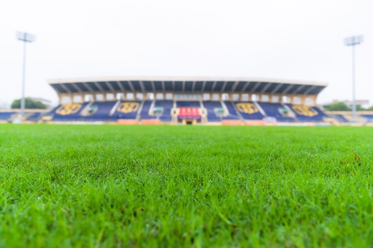 Trước trận Hải Phòng: Mặt cỏ sân Vinh được hồi sinh