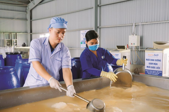 Bài ca mật muối và ước mơ của gã khổng lồ bé nhỏ giữa đồng bằng