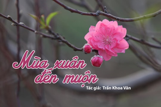 Đọc truyện đêm khuya: Mùa xuân đến muộn