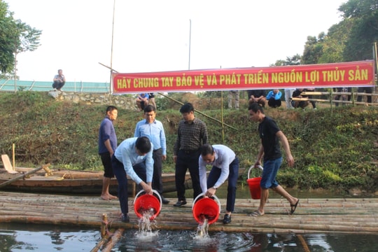 Nghệ An thả gần 2 tấn cá giống xuống lưu vực sông Lam để tái tạo nguồn lợi thủy sản