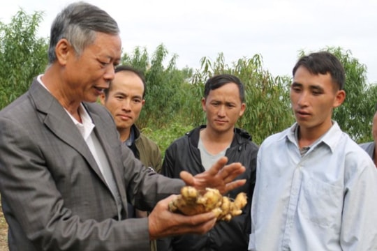 Huyện biên giới Kỳ Sơn có thêm 6 sản phẩm đạt OCOP 3 sao cấp tỉnh