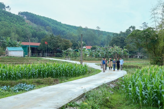 Chung sức vì con đường, 'lối đi' đẹp