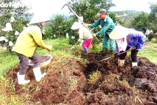 Nghệ An triển khai Dự án tuyên truyền, vận động nông dân xử lý rác thải