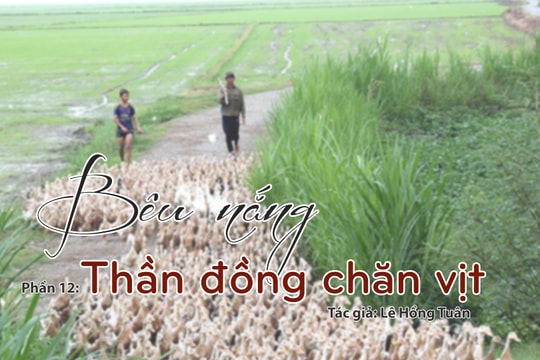 Tạp văn: Bêu nắng (Lê Hồng Tuân) - Phần 12: Thần đồng chăn vịt
