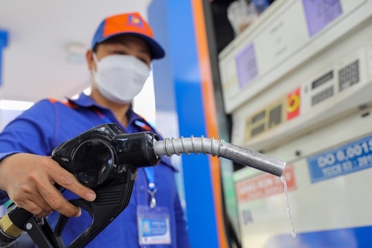 Nghị định về kinh doanh xăng, dầu cần hài hòa lợi ích các bên