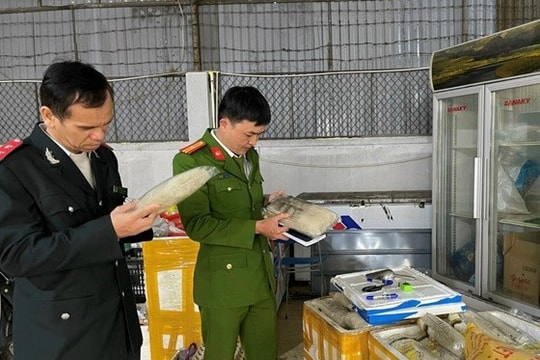 360 cơ sở sản xuất, kinh doanh ở Nghệ An vi phạm an toàn thực phẩm trong dịp Tết