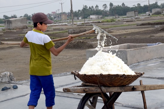 Nghệ An: Giá muối cao kỷ lục, diêm dân không có hàng để bán