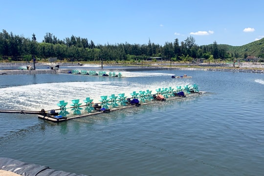 Giảm tiền thuê đất, thuê mặt nước với các đối tượng bị ảnh hưởng bởi dịch COVID-19 