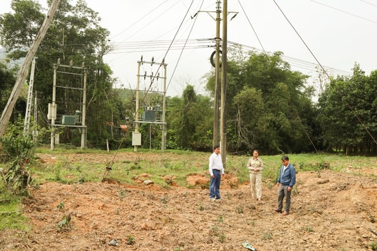 Xã miền núi Nghệ An chuyển đổi cây trồng để đảm bảo an toàn lưới điện