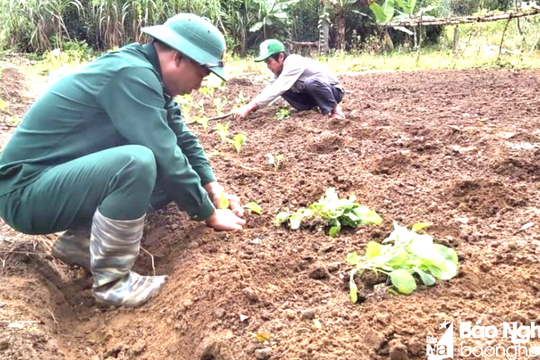 Bạn đồng hành xóa nghèo của người dân biên giới Hạnh Dịch