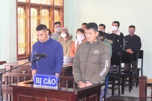 Xét xử 2 đối tượng tự ý phá rừng, 'vỡ đất' do lâm trường quản lý