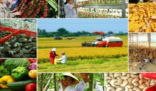 Chính phủ ban hành Nghị quyết về xây dựng nông thôn mới đến năm 2030, tầm nhìn đến năm 2045