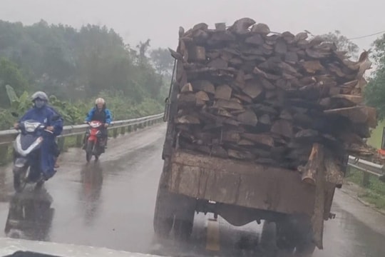 Không chấp hành yêu cầu kiểm tra, lái xe còn điều khiển ô tô tải lạng lách, đánh võng trên đường