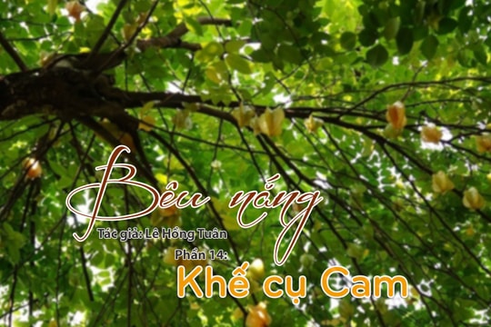 Tạp văn: Bêu nắng (Lê Hồng Tuân) - Phần 14: Khế cụ Cam