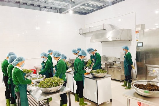 Các sản phẩm từ lươn Nghệ An xuất khẩu sang EU