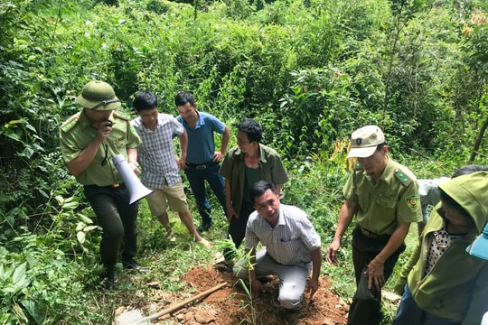 Huyện Tương Dương tiếp nhận và chi trả hơn 209 tỷ đồng tiền dịch vụ bảo vệ rừng