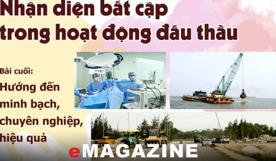 Nhận diện bất cập trong hoạt động đấu thầu – Bài cuối: Hướng đến minh bạch, chuyên nghiệp, hiệu quả