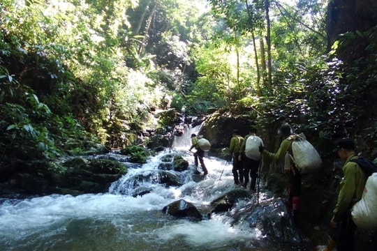 Thường trực HĐND tỉnh Nghệ An thống nhất xây dựng chính sách hỗ trợ lực lượng chuyên trách bảo vệ rừng