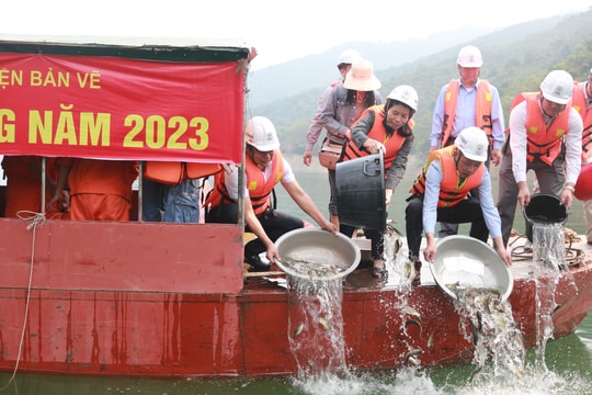 Thả trên 50 nghìn con cá giống xuống lòng hồ Thủy điện Bản Vẽ