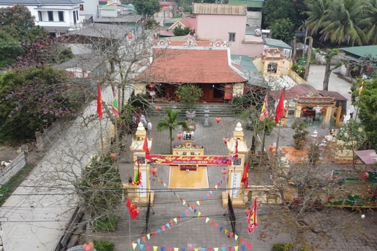 Khám phá khu mộ cá voi lớn nhất Nghệ An