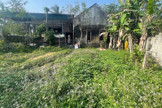 Tá hỏa vì mảnh đất cha mẹ để lại 'không cánh mà bay'