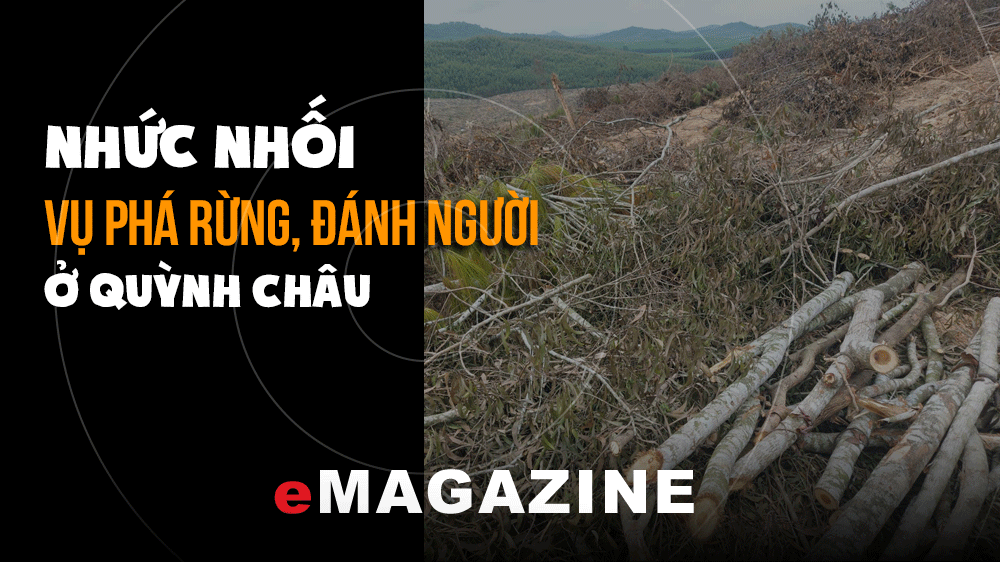 Nhức nhối vụ phá rừng, đánh người ở Quỳnh Châu