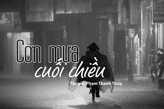 Đọc truyện đêm khuya: Cơn mưa cuối chiều