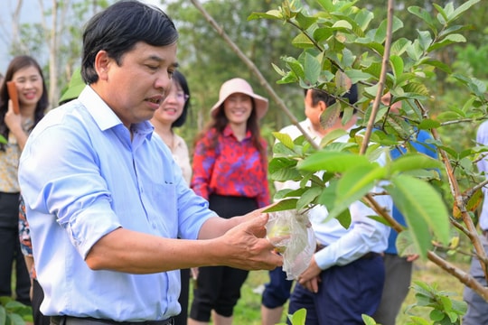 HĐND tỉnh giám sát chuyên đề về chính sách phát triển miền núi tại Tương Dương 